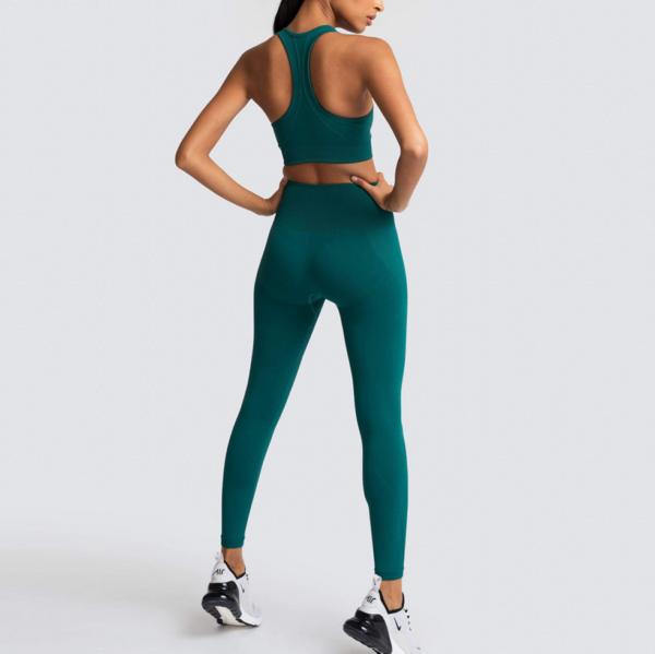 YYBD-0036,selling Europe seamless knit hip yoga women sports fitness suit vest suit - Image 3